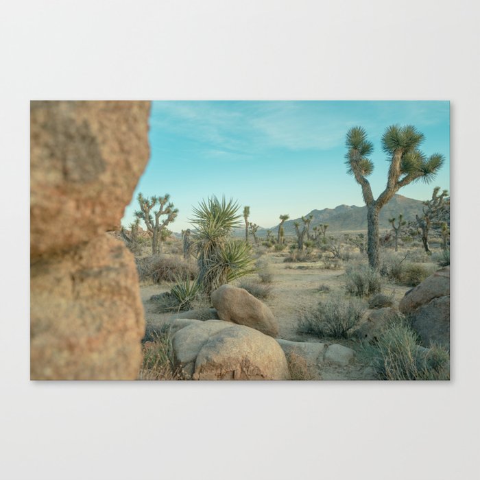 Canvas Print