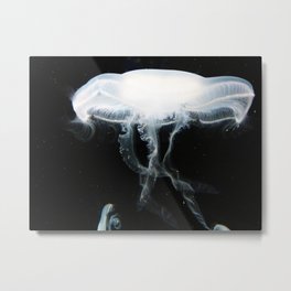Jellyfish 5 Metal Print