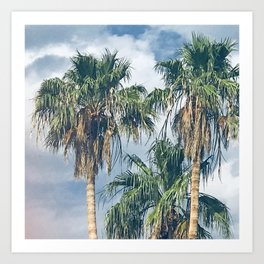 Palm Trees Framed By Bold Dramatic Clouds  Art Print