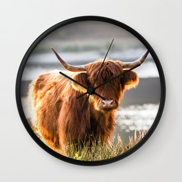 Scottish Highland Cattle portrait Wall Clock | Highlandcattle, Color, Highlandcow, Wallart, Holland, Wildlife, Portrait, Steer, Wanderlust, Thenetherlands 