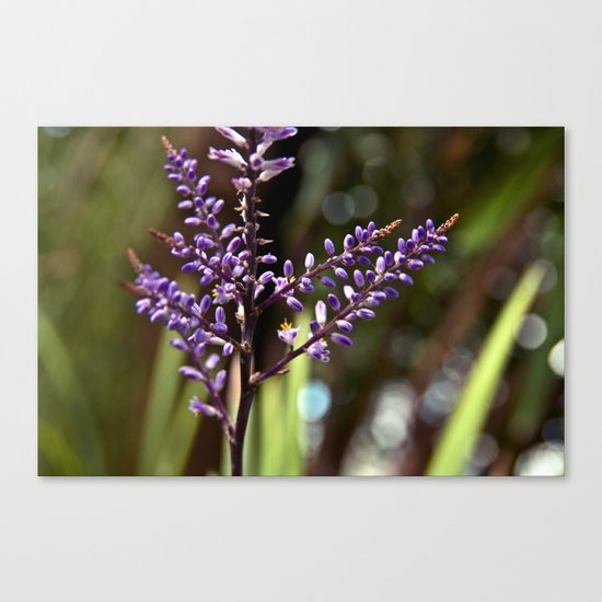 Botanical Dream of Spring Canvas Print