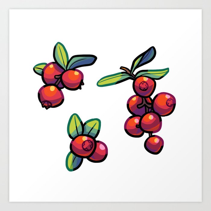 Cranberries Art Print