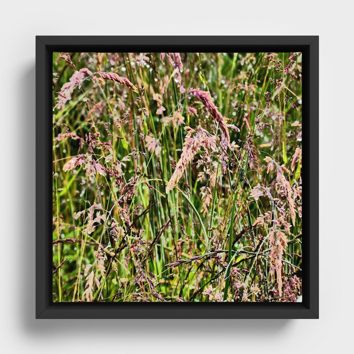 Scottish Highlands Wild Long Summer Grass in I Art Framed Canvas