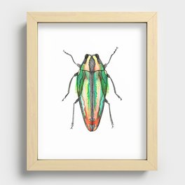 Orange Beetle Recessed Framed Print