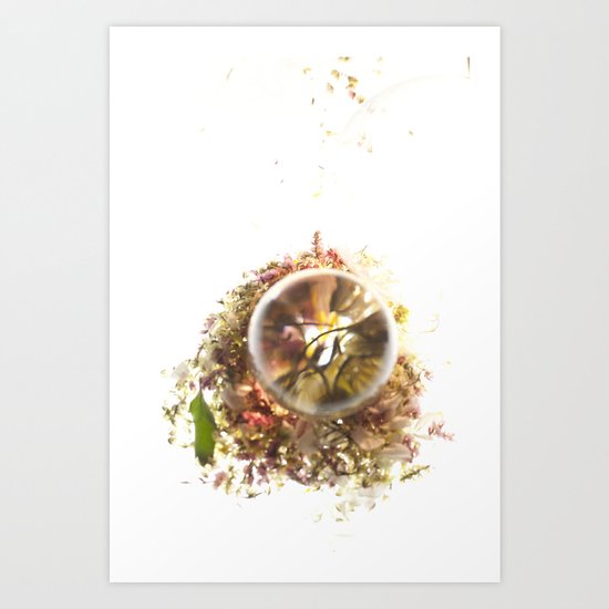 Botanical Blueprints Art Print