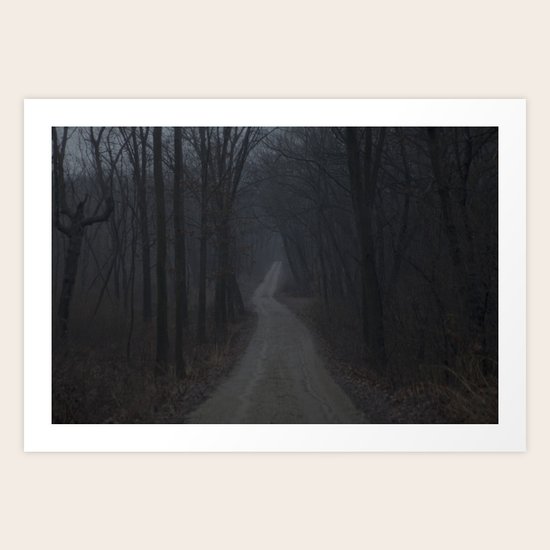 Into the Mist Art Print