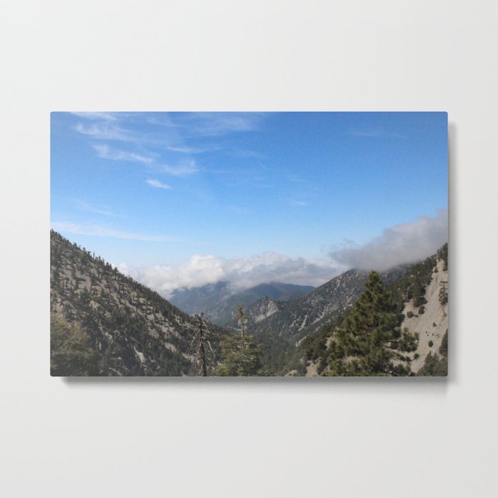 Forest High Metal Print