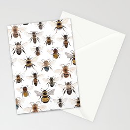 A Collection of Native Bees Stationery Cards