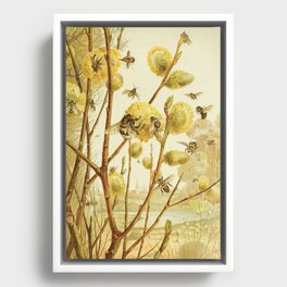 Bees, Vintage Style Framed Canvas