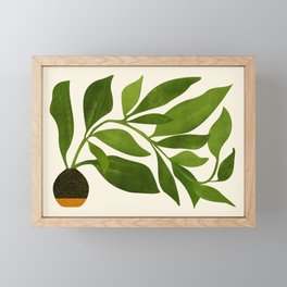 The Wanderer - House Plant Illustration Framed Mini Art Print