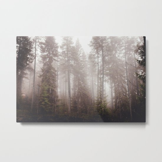 A fogilicious morning Metal Print