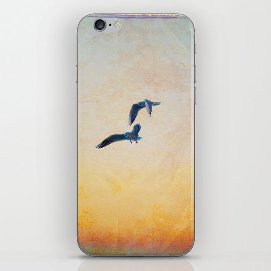 gulls iPhone & iPod Skin