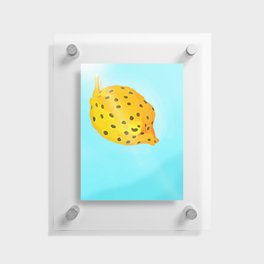 "Little Boxfish" Floating Acrylic Print