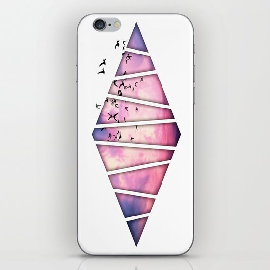 migration iPhone & iPod Skin