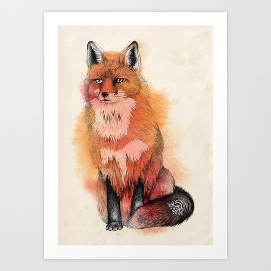 Red Fox Art Print