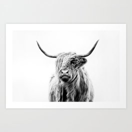 portrait of a highland cow (horizontal) Art Print