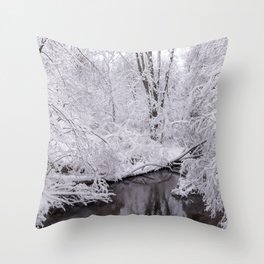 Winter Stream( Black and White Color Photograph) Throw Pillow