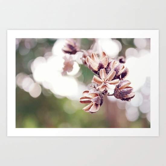 Little Pink Stars Art Print