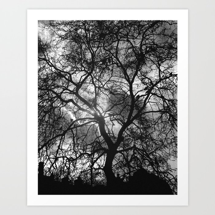 Dramatic London Tree Silhouette Art Print