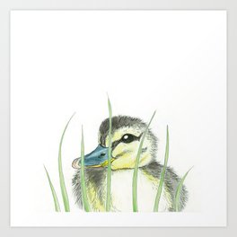 Peekaboo Baby Duck Art Print