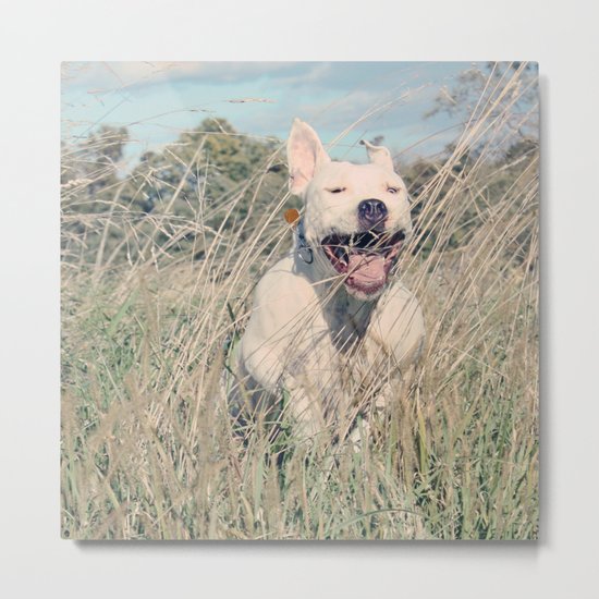Beefcake Metal Print
