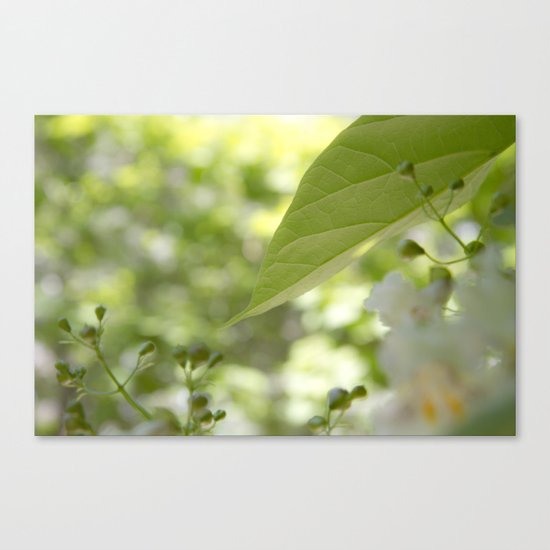 green moments Canvas Print