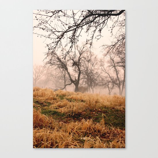Natural Mystic in the Air Canvas Print