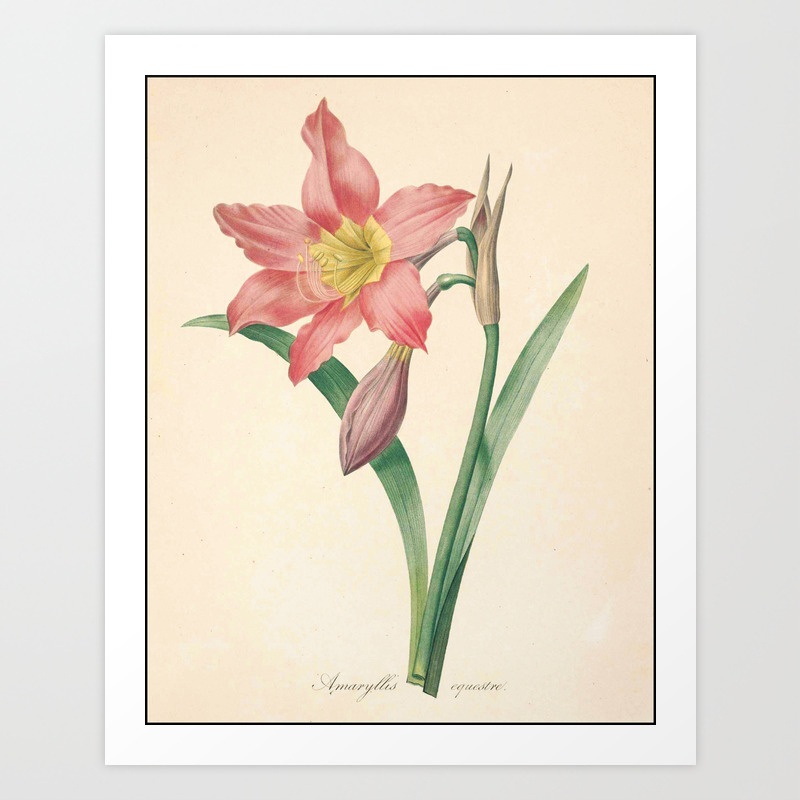 Lilies Flower Color Pencil Hand Drawing Art Print By Theyoungdesigns Society6 Markers are a much quicker medium. lilies flower color pencil hand drawing art print by theyoungdesigns