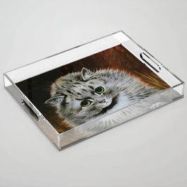 Louis Wain, Persian Cat Acrylic Tray