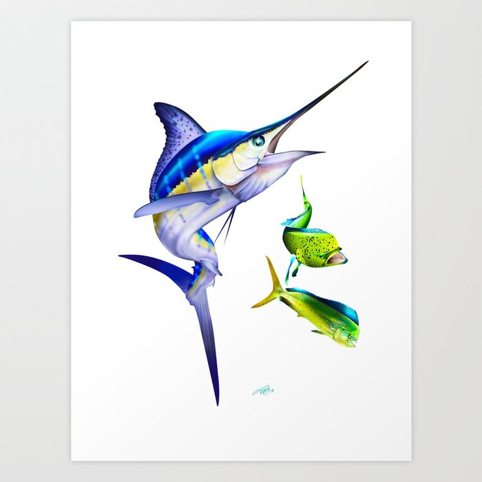 White Marlin Chasing Dolphin Fish Art Print