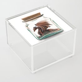 Dragon in a Jar Acrylic Box