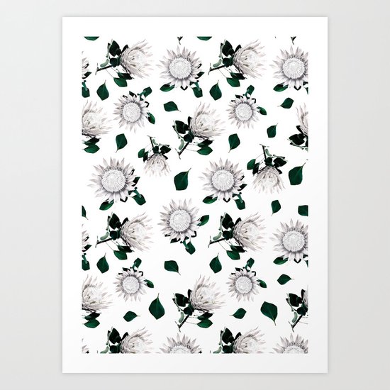 Protea Floral Pattern Art Print