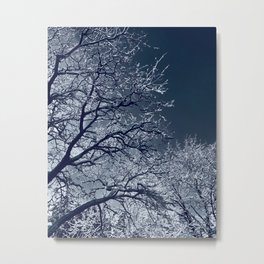 Winter Metal Print | Minnesotawinter, Sparkle, March, Frostcoveredtrees, Diamond, Frost, Icecoveredtrees, Wintertrees, Trees, Ice 
