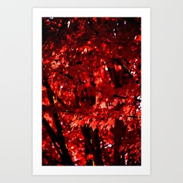 VIBRANT RED FALL LEAVES Art Print