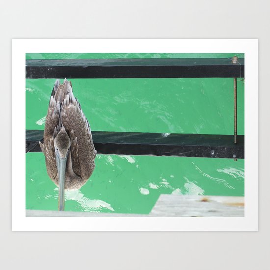 Perched Art Print
