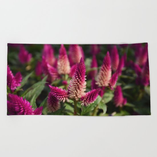 Flower Purple Meadow | Botanical | Plant Photography | Nature Beach Towel