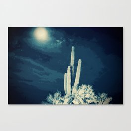 Saguaro Cactus Moonlight Canvas Print