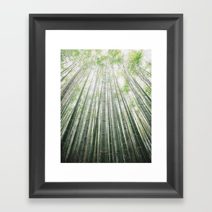 Bamboo Grove Framed Art Print