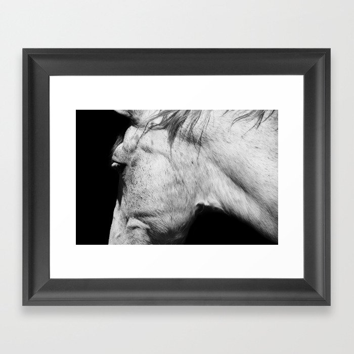 Casper | Animals | Horse Photography | black-white | nature Framed Art Print