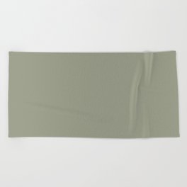 Pastel Sage Green Solid Color Pairs To Dunn & Edwards Flagstone Quartzite DET517 Beach Towel