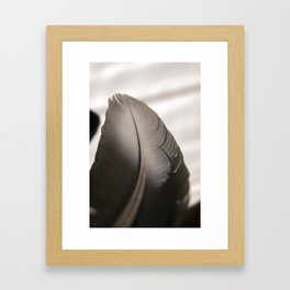 Feather Framed Art Print