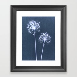 Indigo Dandelion Botanical Cyanotype Framed Art Print
