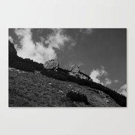 Black and white  Canvas Print