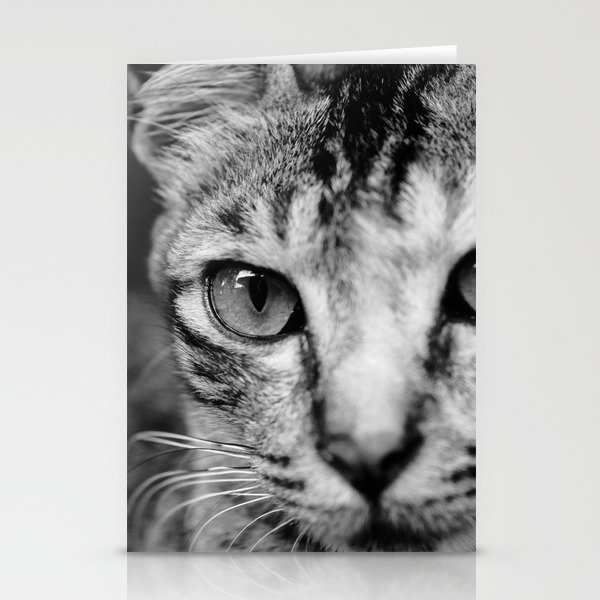 Portrait of a Feline Stationery Cards