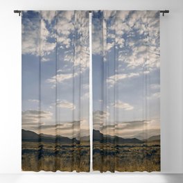 Graceful Noble Masculine Beast In Savannah At Lovely Sundown UHD Blackout Curtain