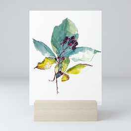 blackberry and leaves Mini Art Print