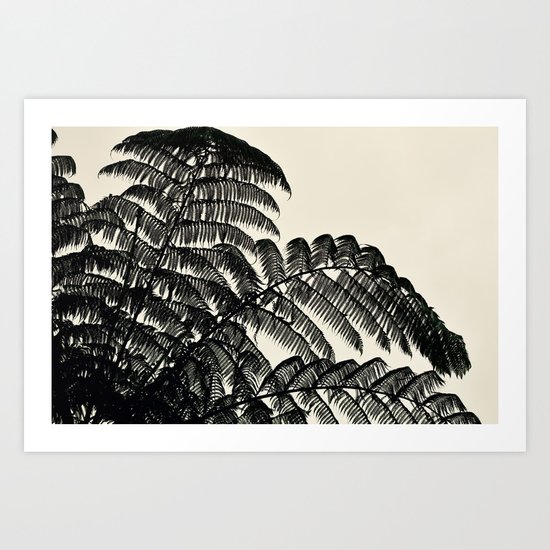 Palm Fan Art Print