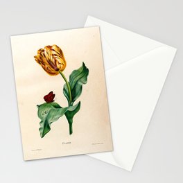 Tulip by Henriette Antoinette Vincent (Madame Vincent), 1820 Stationery Card