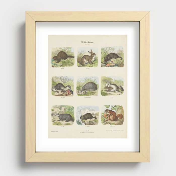 Wild Animals, Hermann van der Moolen, c. 1820-1843 Recessed Framed Print