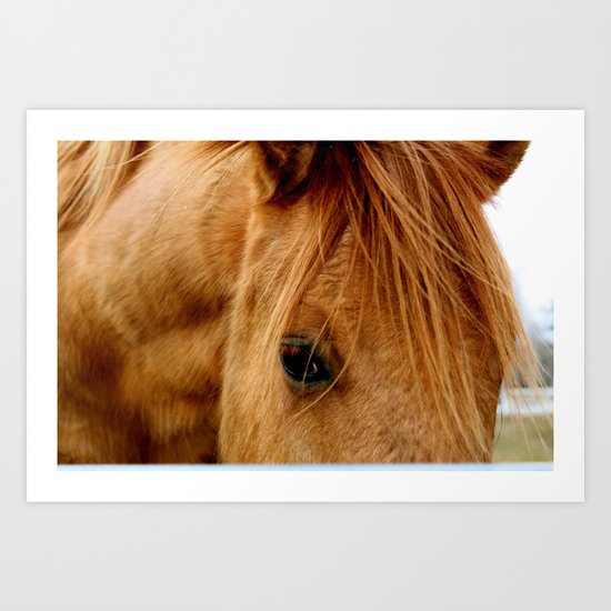 "a horse of a different color" Art Print